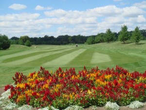 Deer-Run-Golf-Course-Fairway