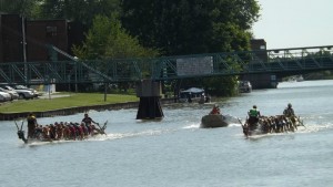 Dragon boats on the Sydenham. June 2015