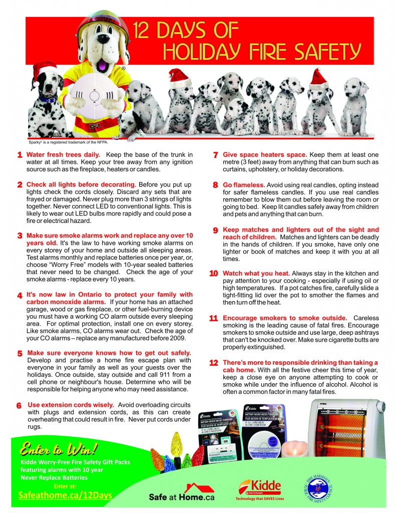 12 Holiday Fire Safety Tips - 2 (2015)