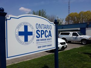 ospca ck animal centre