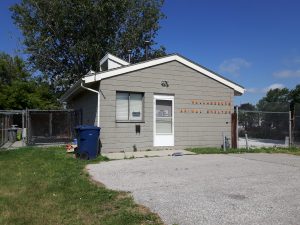 wallaceburg animal shelter