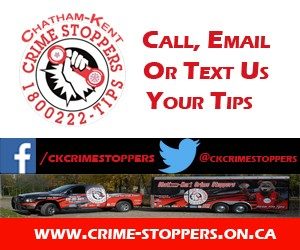 crimestoppers-300x250-300x250