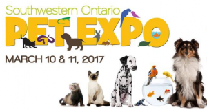 pet-expo