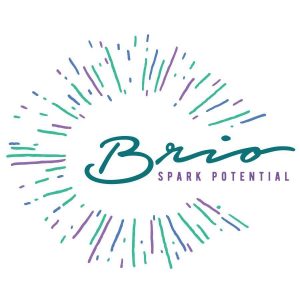 brio-logo